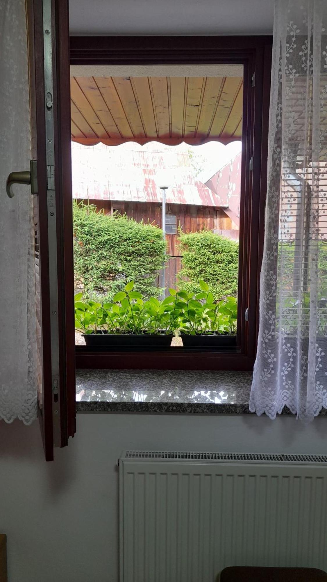 Penzion Bachleda Ždiar Exteriör bild